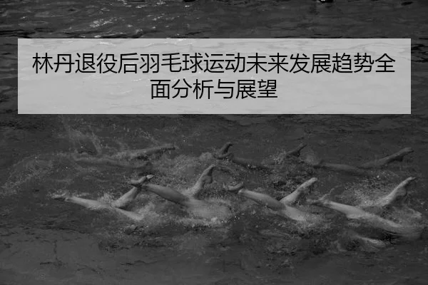 林丹退役后羽毛球运动未来发展趋势全面分析与展望