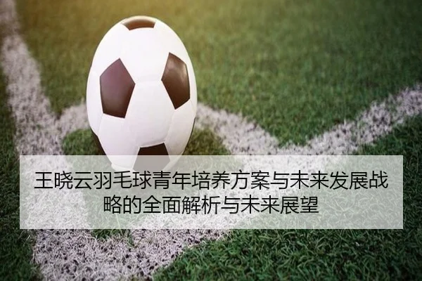 王晓云羽毛球青年培养方案与未来发展战略的全面解析与未来展望